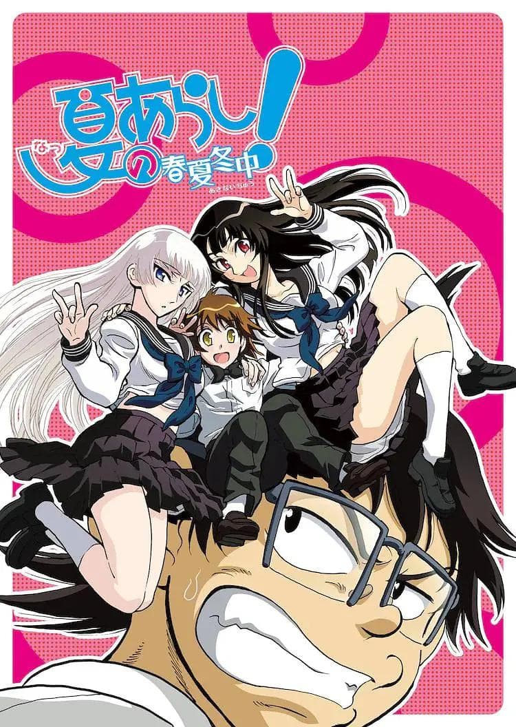夏之岚春夏冬中海报
