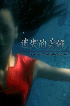 遗失的美好海报